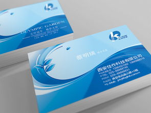 藍(lán)色科技公司名片設(shè)計(jì) 高清CDR模板與商業(yè)服務(wù)理念